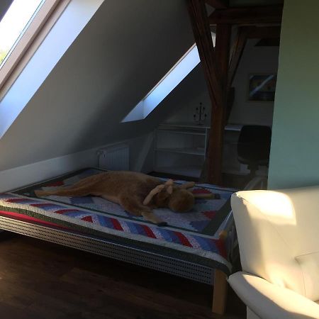 Ferienwohnung Schulze 弗赖塔尔 外观 照片