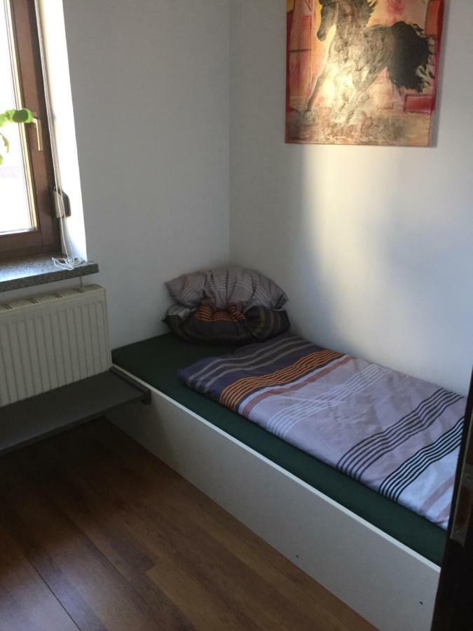 Ferienwohnung Schulze 弗赖塔尔 外观 照片