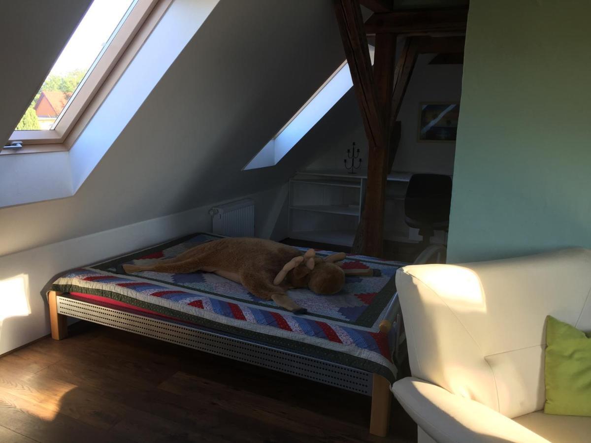 Ferienwohnung Schulze 弗赖塔尔 外观 照片