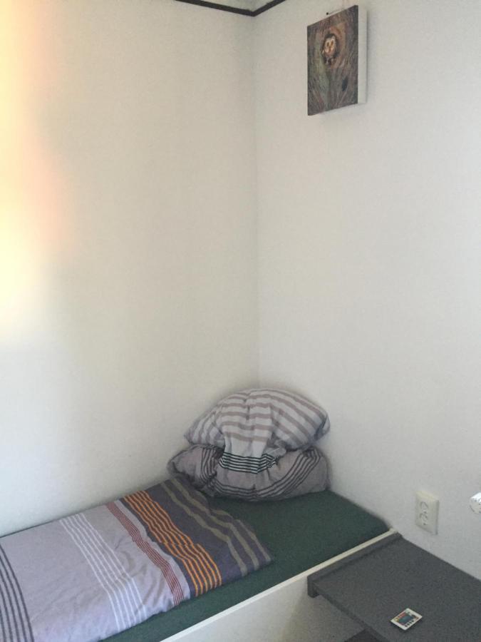 Ferienwohnung Schulze 弗赖塔尔 外观 照片
